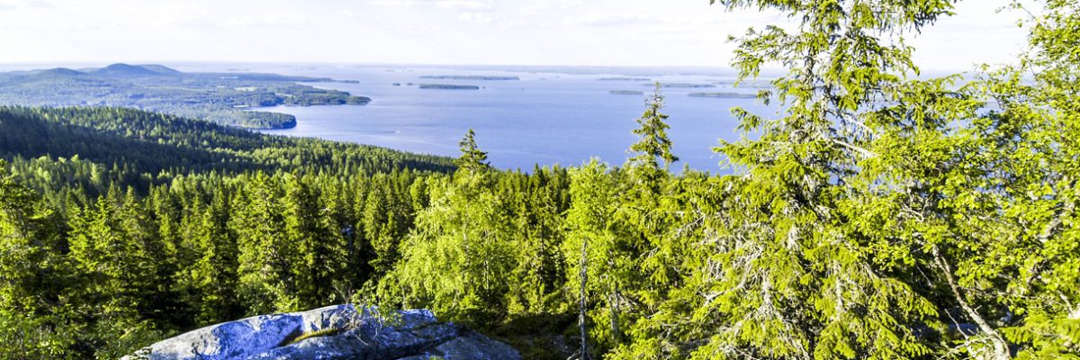 suomi-koli-ss